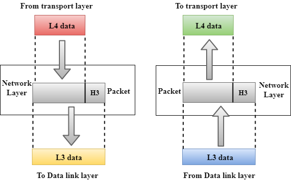 Network